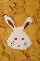 落ち葉遊び　ウサギ [XJU110005148]