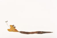 落ち葉遊び　ヘビ [XJU110005159]