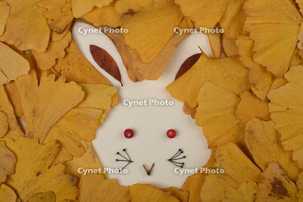 落ち葉遊び　ウサギ [XJU110005147]
