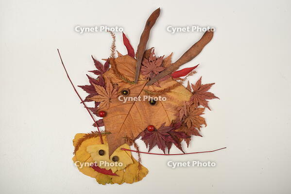 落ち葉遊び　リュウ(辰) [XJU110005149]