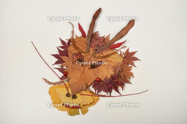 落ち葉遊び　リュウ(辰) [XJU110005150]