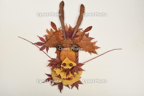 落ち葉遊び　リュウ(辰) [XJU110005152]