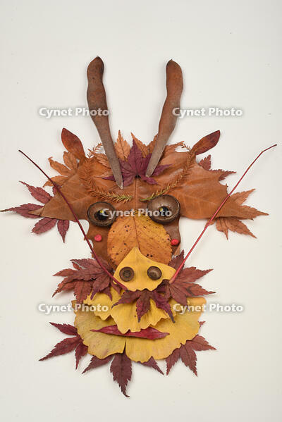 落ち葉遊び　リュウ(辰) [XJU110005153]