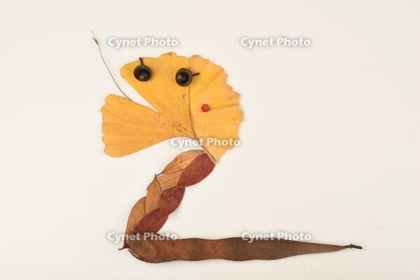 落ち葉遊び　ヘビ [XJU110005154]