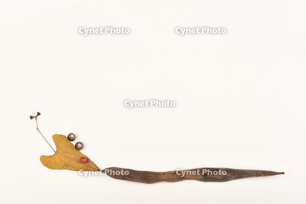 落ち葉遊び　ヘビ [XJU110005159]