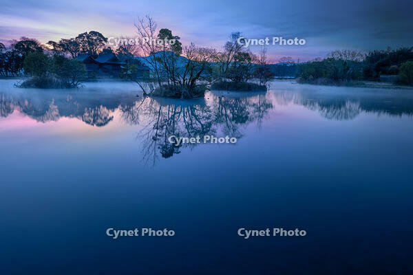 夜明けの浮島神社 [XLN110000012]