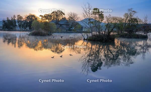 早朝の浮島神社 [XLN110000013]