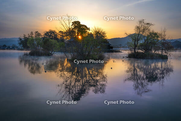 早朝の浮島神社 [XLN110000015]