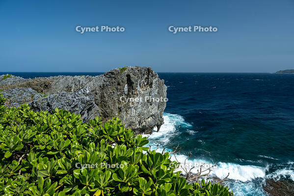辺戸岬 [XLN110000019]