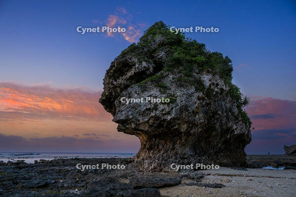早朝のぐしちゃん浜の岩　サンゴ礁に囲まれた浅瀬 [XLN110000025]